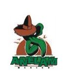 ANELAM 