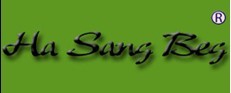 HA SANG BEG