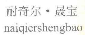  耐奇尔晟宝 