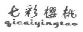 七彩樱桃 