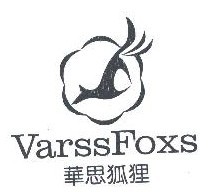 华思狐狸VARSSFOXS 