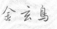 金玄鸟 