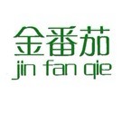 金番茄 