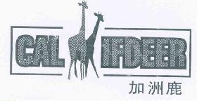 加洲鹿 CALIFDEER