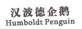 汉波德企鹅