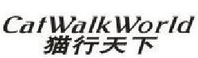 猫行天下