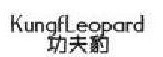 功夫豹