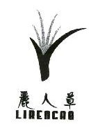 丽人草