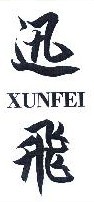 迅飞+拼音