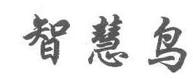 智慧鸟