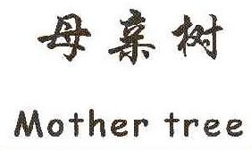 母亲树