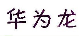 华为龙