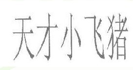 天才小飞猪