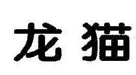 龙猫