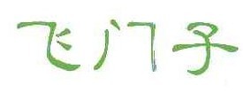 飞门子