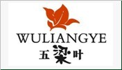 五梁叶+图形