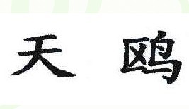 天鸥