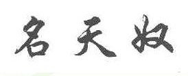 名天奴