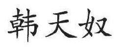 韩天奴