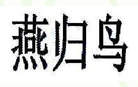 燕归鸟