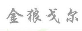 金狼戈尔