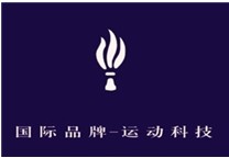 火炬图形