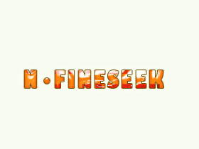 N.FINESEEK