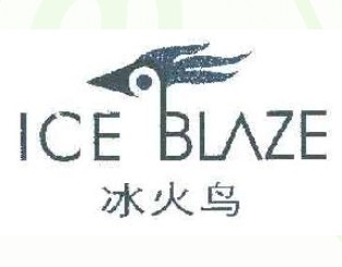 ICE BLAZE；冰火鸟+图形