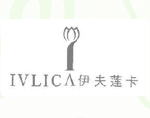 伊夫莲卡+图形