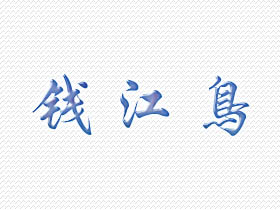 钱江鸟