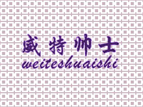 威特帅士