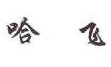 哈飞