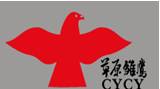 草原雏鹰+图形