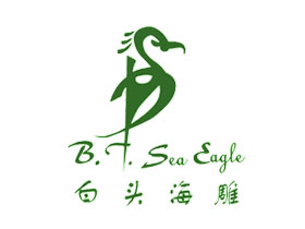 白头海雕+图形