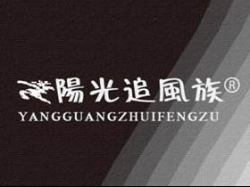 阳光追风族+图形