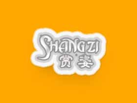 赏姿