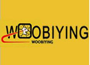 WOOBIYING+虎头+图形