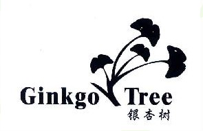银杏树 Ginkgo Tree