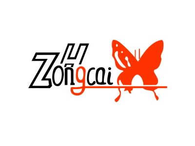 zhongcai+图形