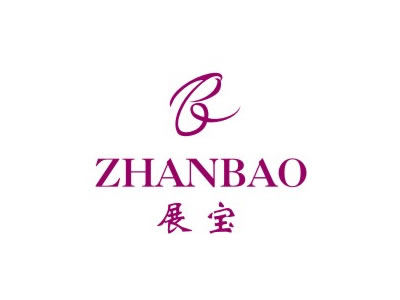 展宝+图形