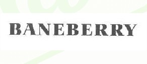 BANEBERRY