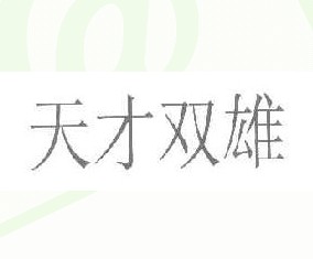 天才双雄